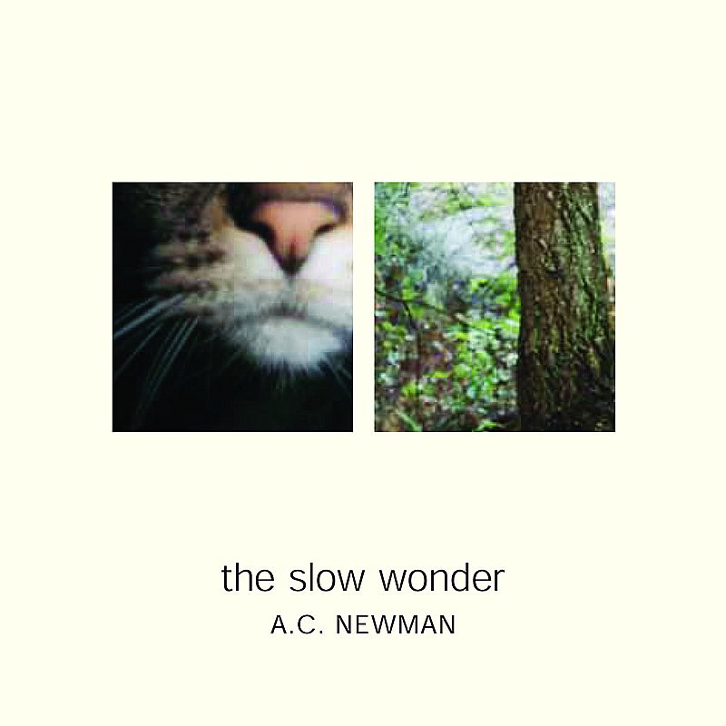 NEWMAN,A.C./SLOW WONDER